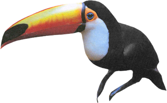 Statamic Toucan
